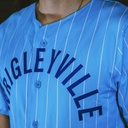 Custom PrimeFit Full Button Baseball Jersey