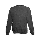 Powerblend® Crewneck Sweatshirt (Champion)