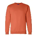 Powerblend® Crewneck Sweatshirt (Champion)