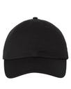 Adult Bio-Washed Classic Dad Hat (Valucap)