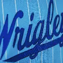 Custom Fan Replica Full-Button Baseball Jersey