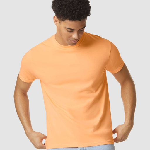[1717] Garment-Dyed  Heavyweight T-Shirt (Comfort Colors)
