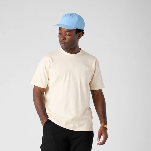 MENS STAPLE TEE (ASColour)